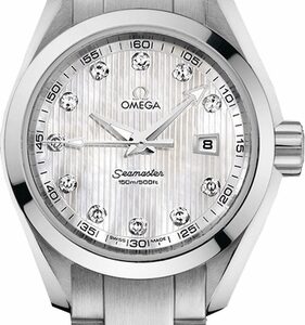 Omega Seamaster Aqua Terra 231.10.30.61.55.001