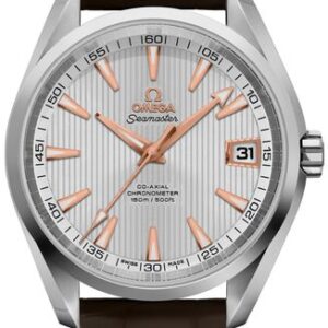 Omega Seamaster Aqua Terra 231.13.39.21.02.002