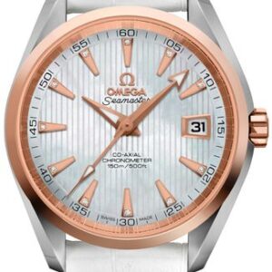 Omega Seamaster Aqua Terra 231.23.39.21.55.001