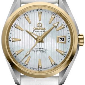 Omega Seamaster Aqua Terra 231.23.39.21.55.002