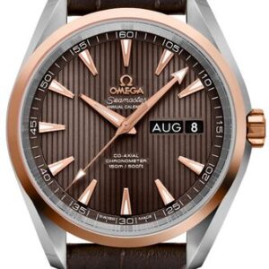 Omega Seamaster Aqua Terra 231.23.39.22.06.001