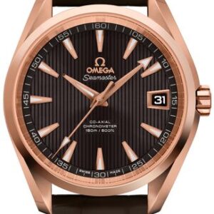 Omega Seamaster Aqua Terra 231.53.39.21.06.001